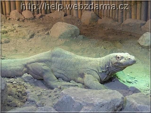 varan