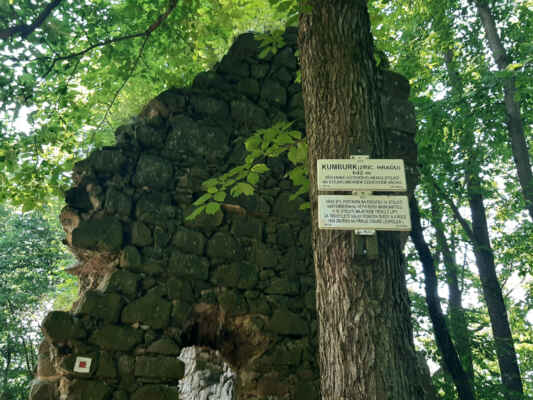 Zřícenina gotického hradu Kumburk (642 m n.m.) se nalézá v jednom z cípů pomyslného trojúhelníku Českého ráje v okrese Semily, na strmém stejnojmenném čedičovém vrchu.