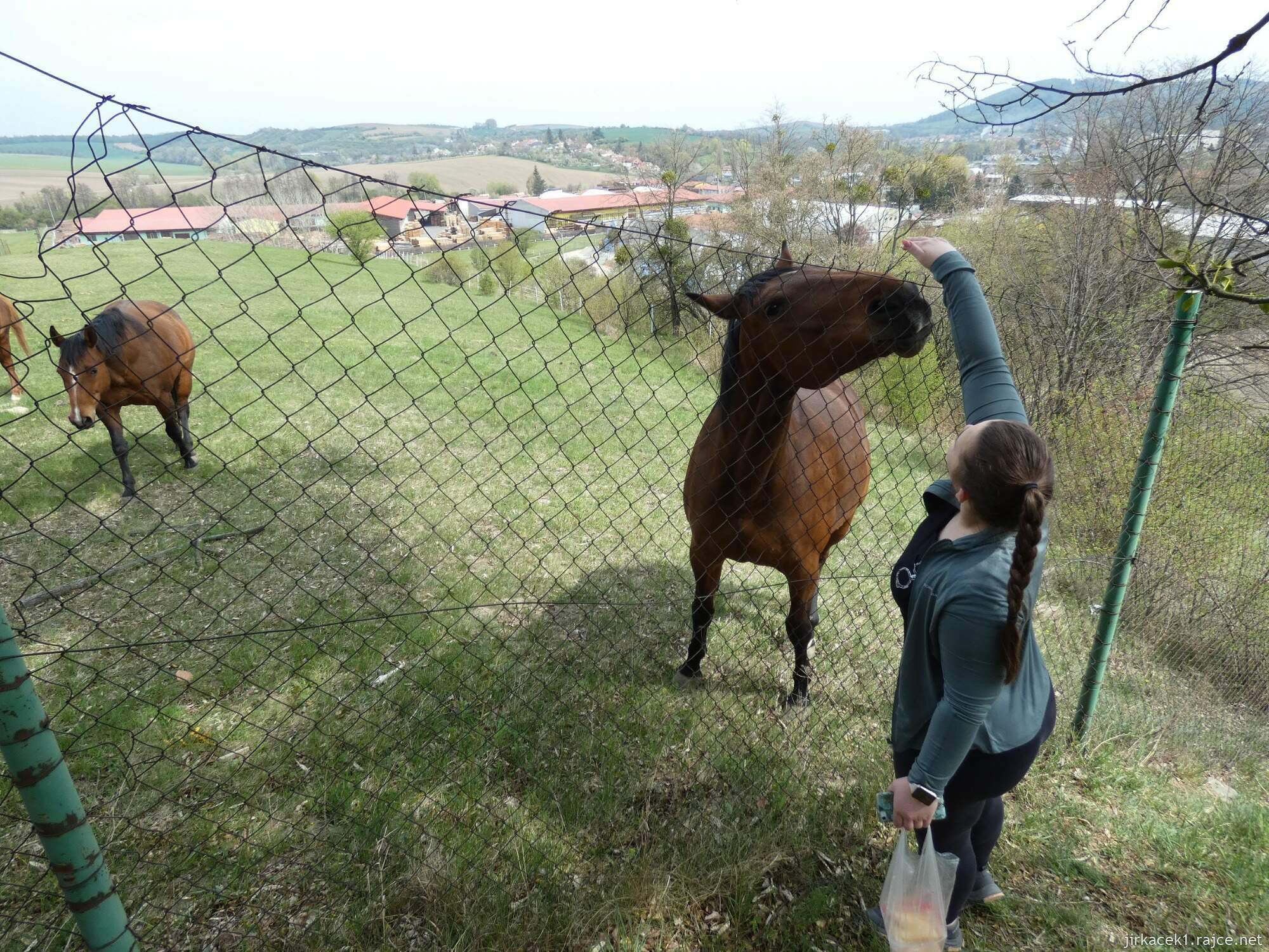 B - Koryčany - kaple sv. Floriána - krmení ořů