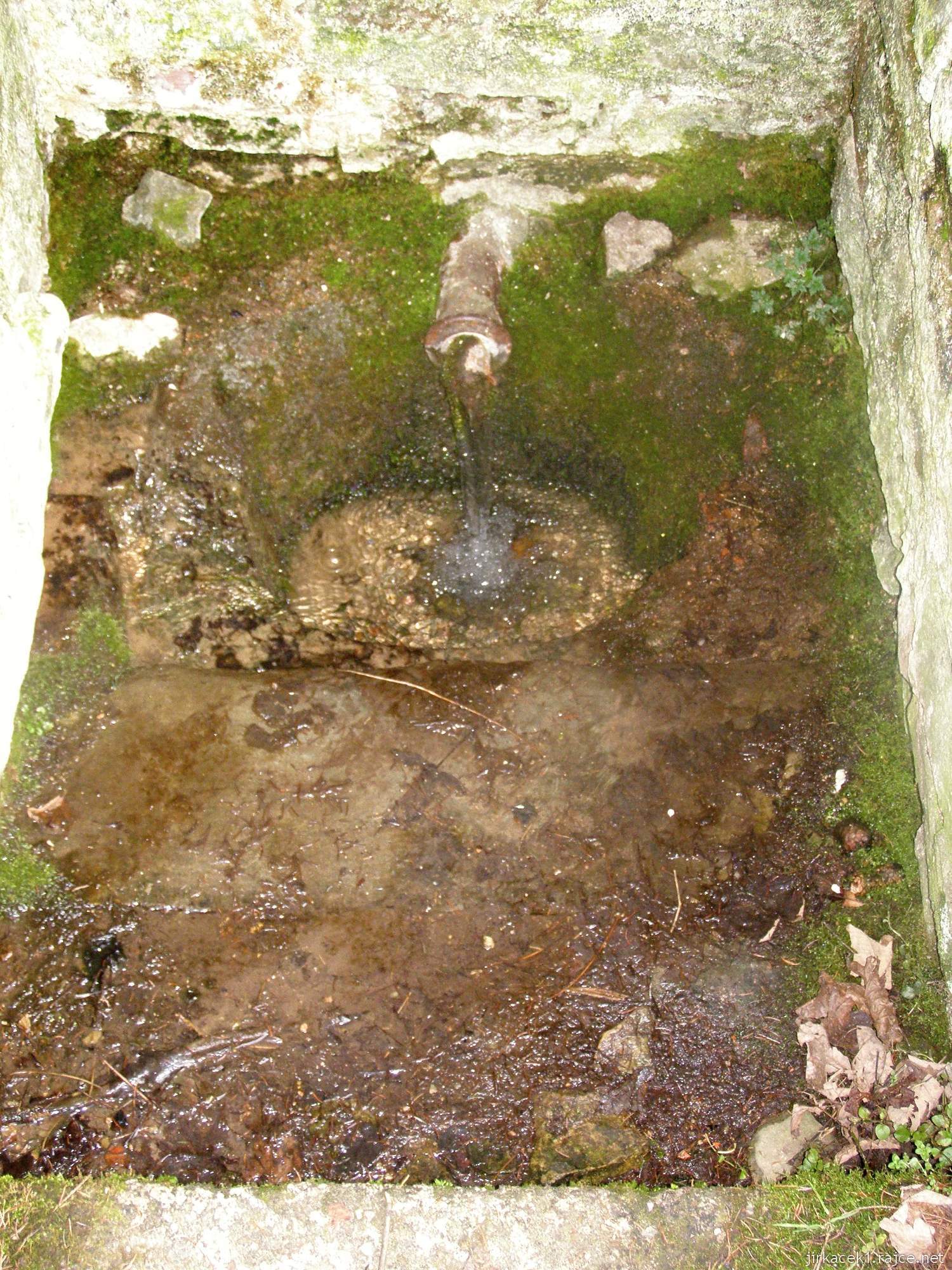 Brandýs nad Orlicí - studánka u Salabových lázní - pramen vody