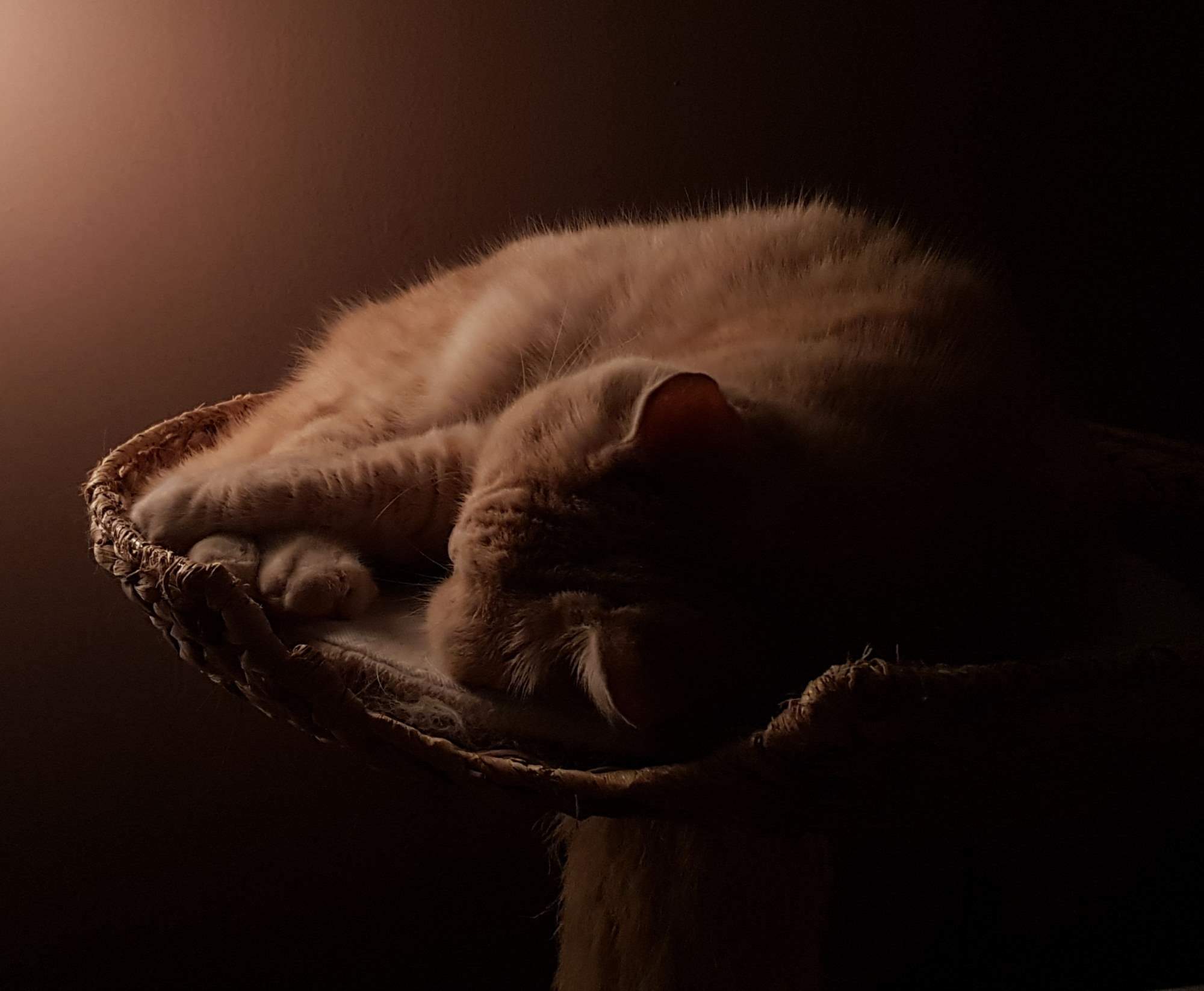 rajce  [[[[deti idnes rajce sleep 1 Magnesium v těhotenství: Užívání a kdy ho vysadit - eMimino.cz