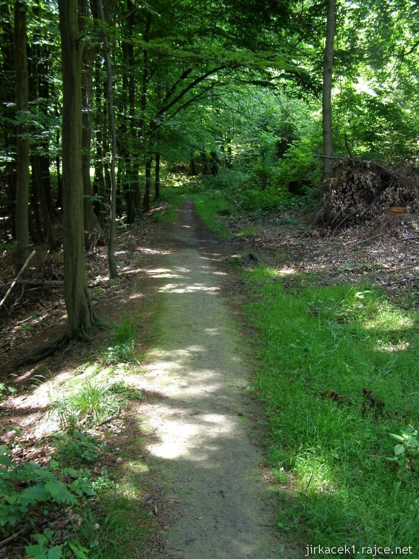 028 - cesta od studánky ke studánce - cesta po zelené nad modrou značkou