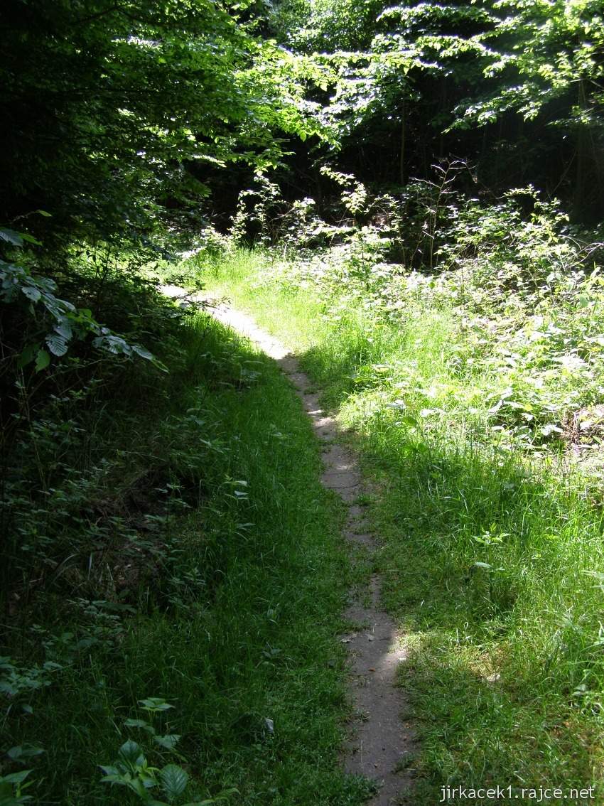 029 - cesta od studánky ke studánce - zatáčka pod Jeřabčinou skálou