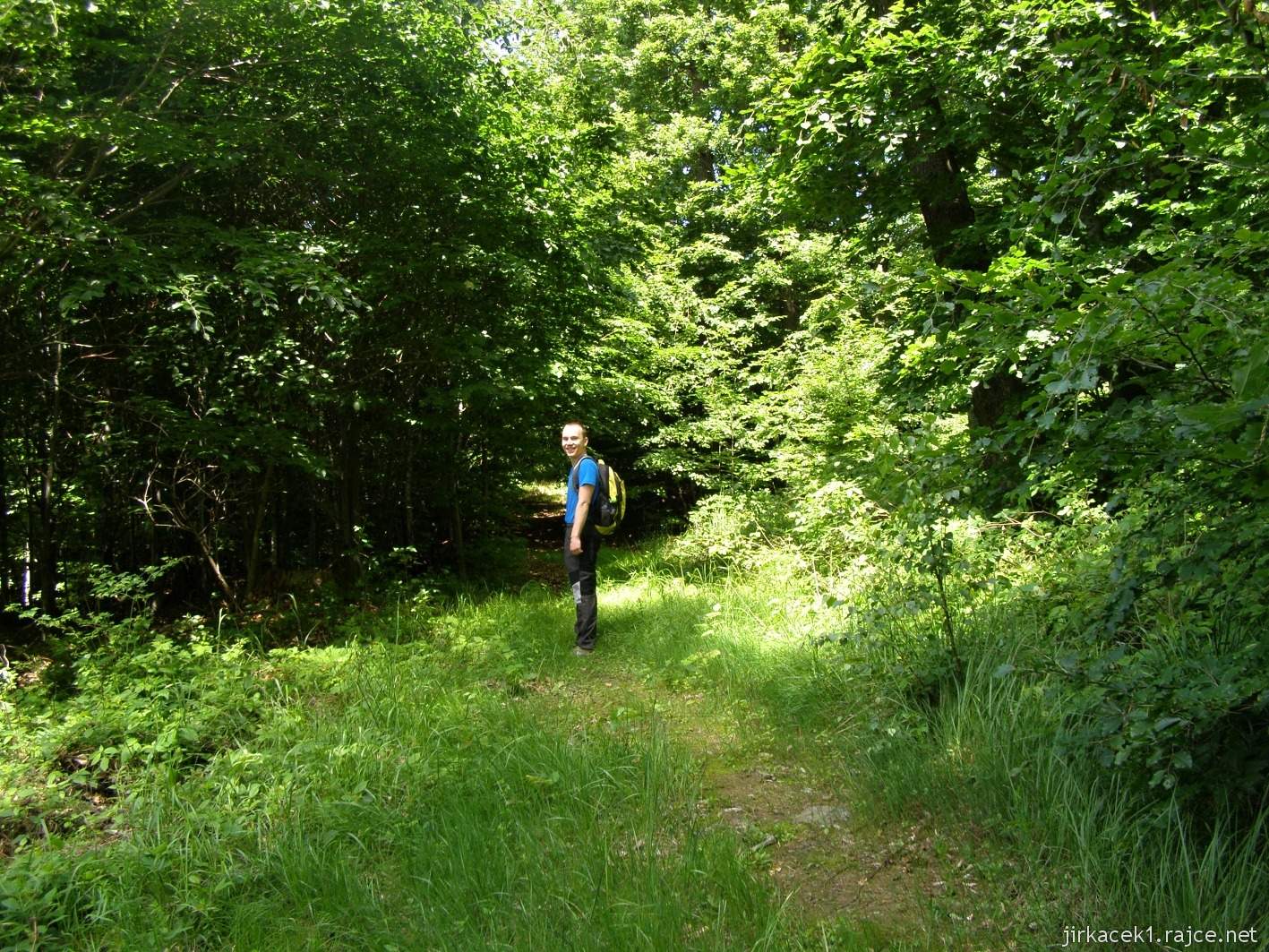 032 - cesta od studánky ke studánce - na odbočce k Jeřabčině skále