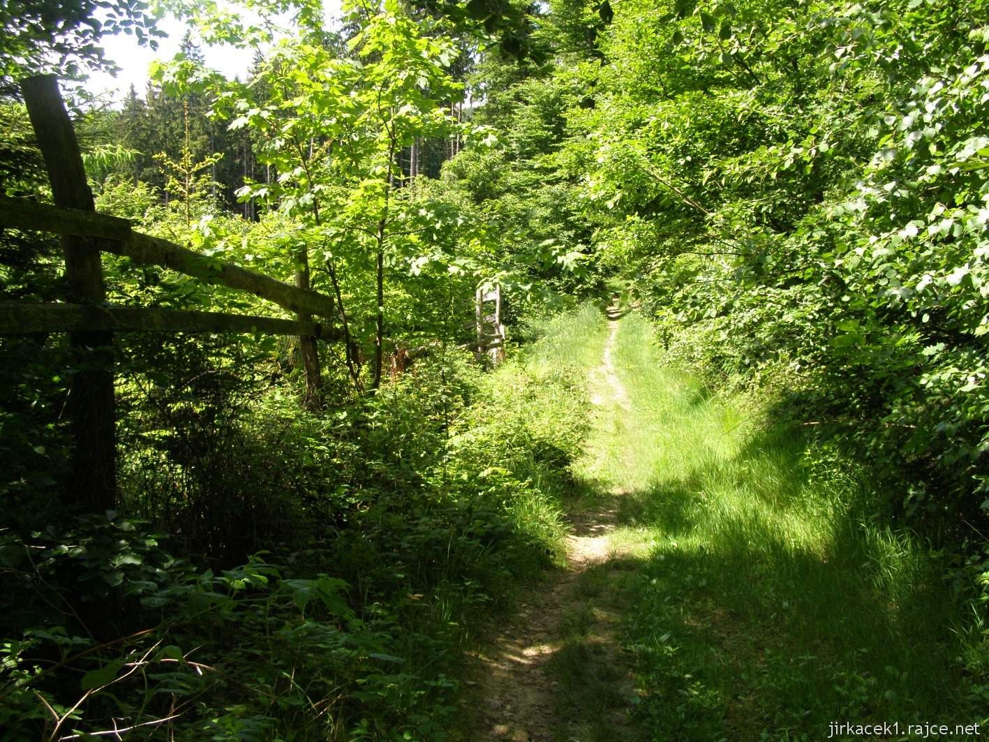 034 - cesta od studánky ke studánce - stezka se školkou za odbočkou ke skále