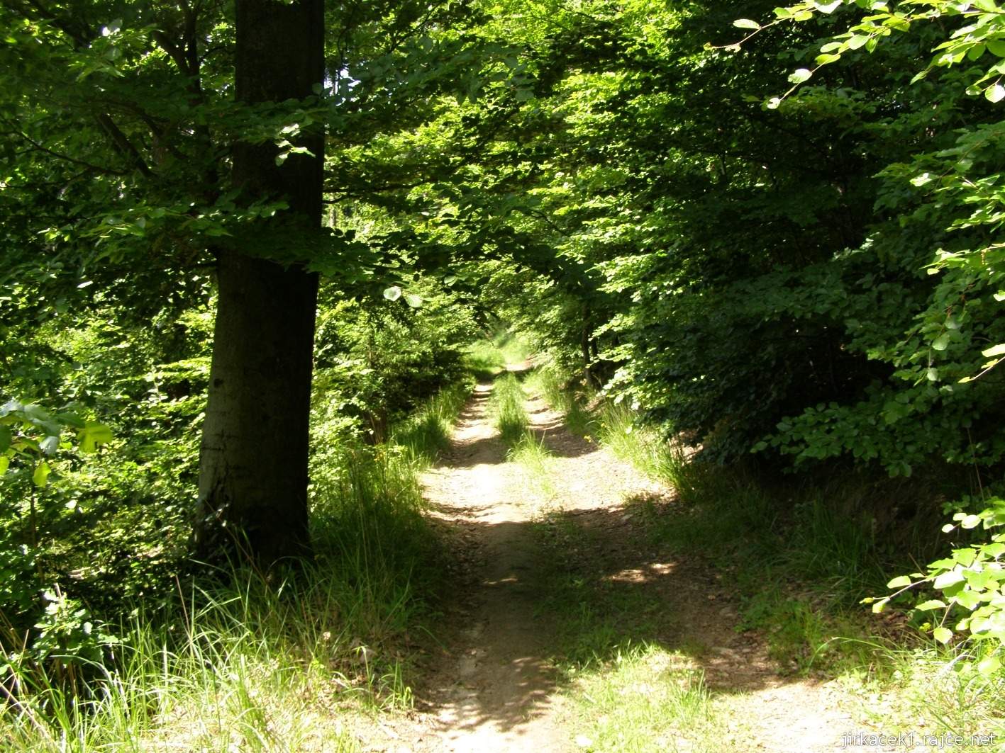 035 - cesta od studánky ke studánce - cesta za odbočkou ke skále