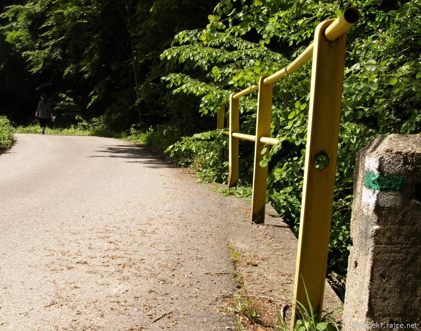 047 - cesta od studánky ke studánce - most nedaleko studánku u Lvích hlav