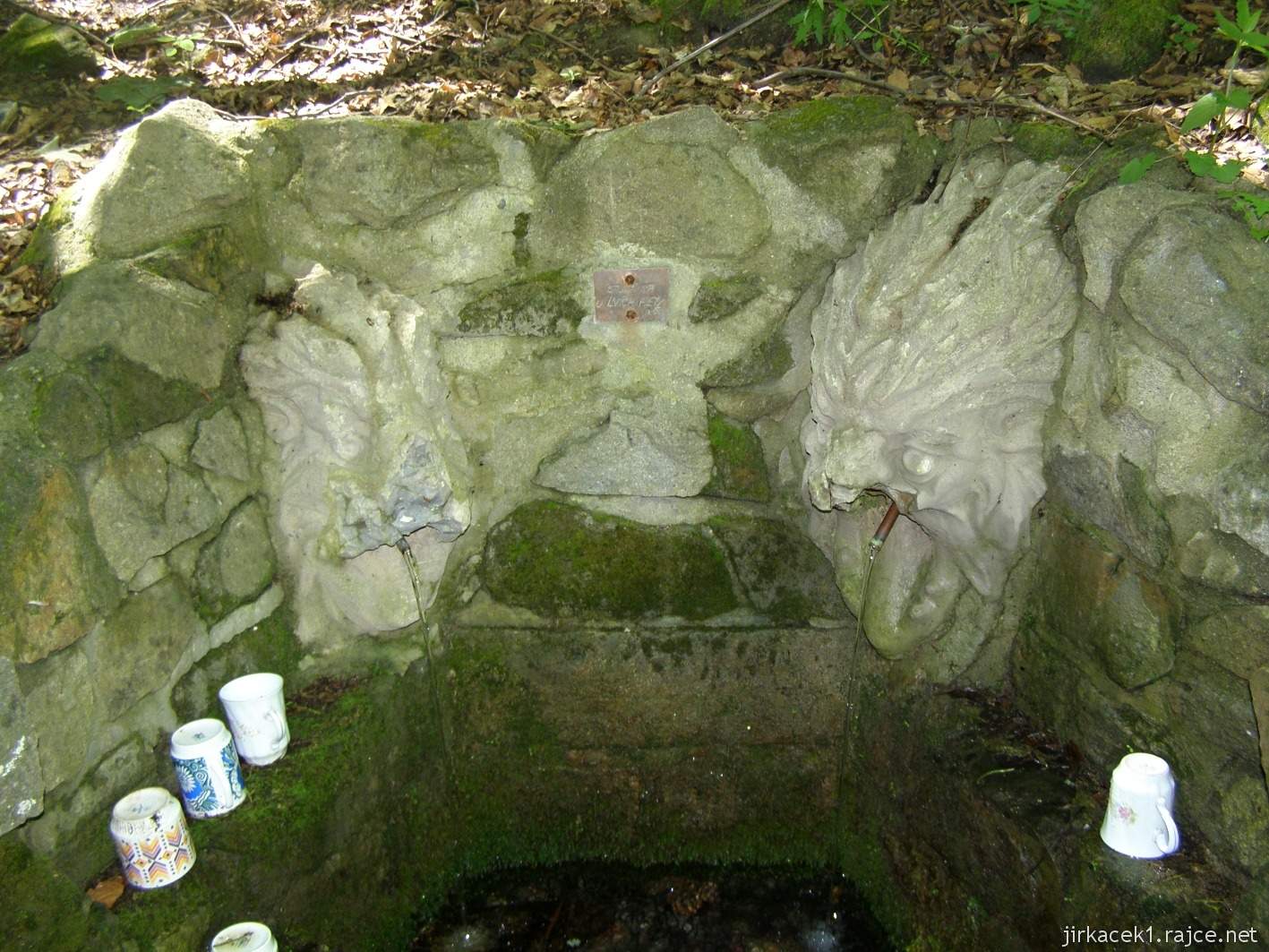 055 - studánka u Lvích hlav - pramen