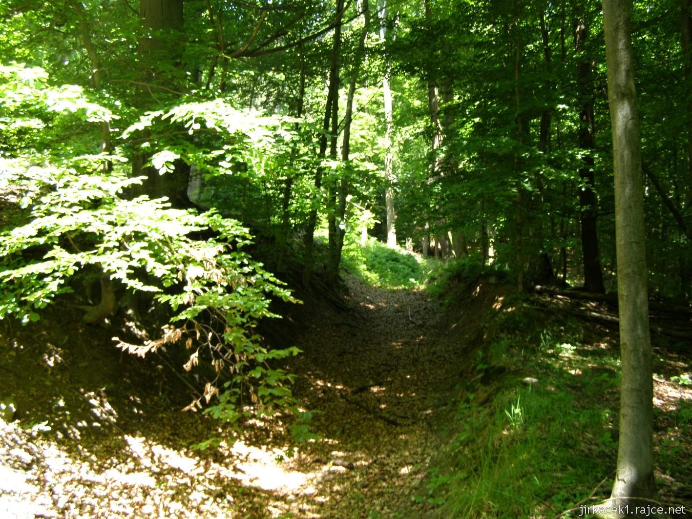 069 - od Lvích hlav cestou necestou - cesta lesem a naváté listí do úvozu