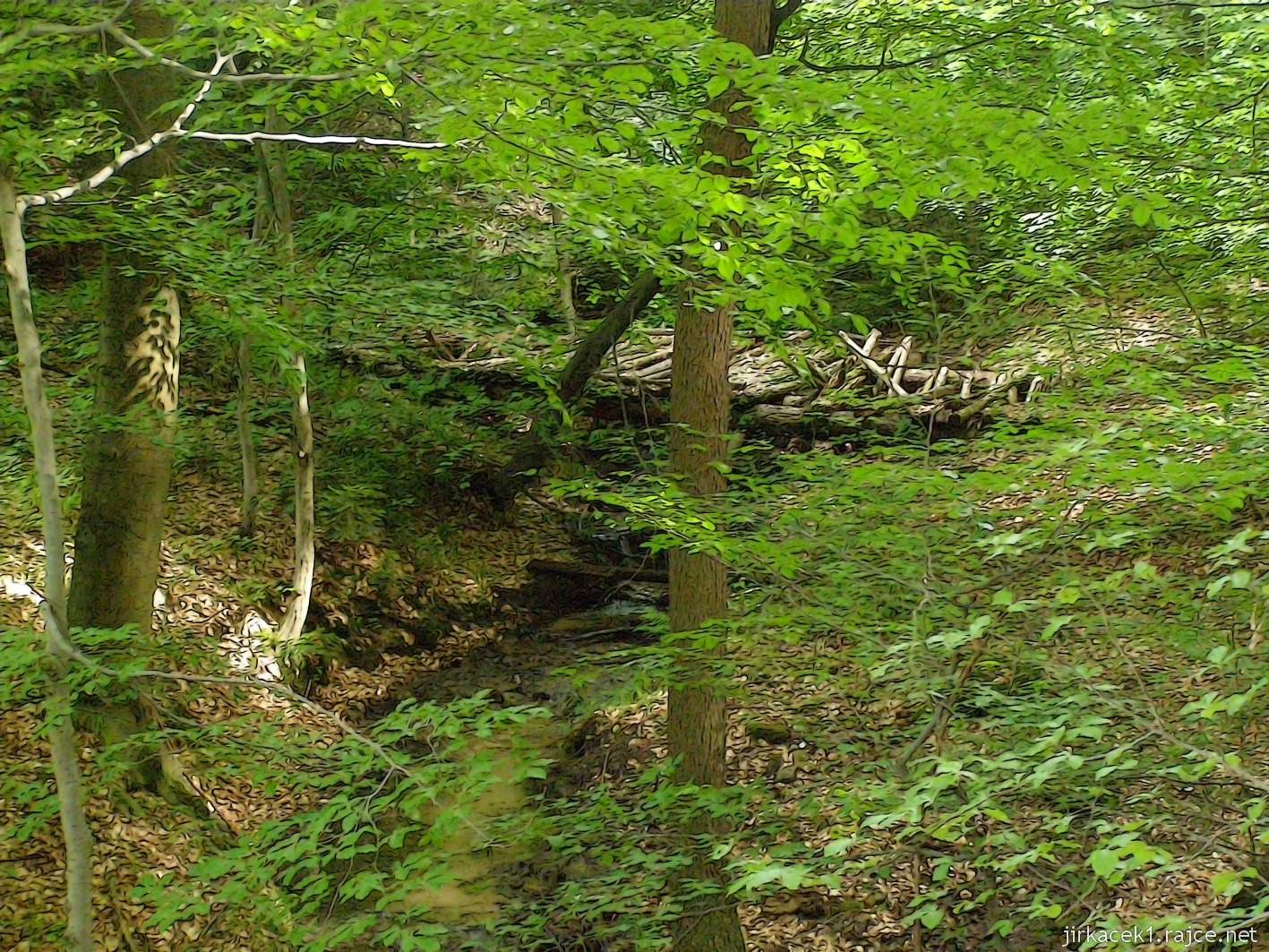 141 - cesta z rozhledny ke kapli - rozpadlý most v lese nad Roštínksým potokem
