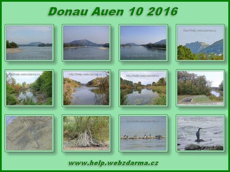 Auen 2016