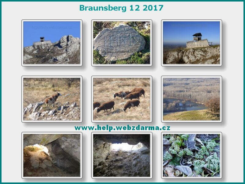 Braunsberg 2017