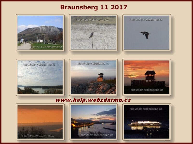 Braunsberg 2017