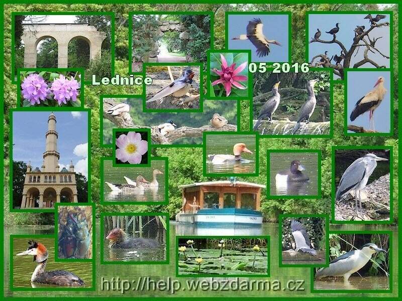 Lednice 2 2016