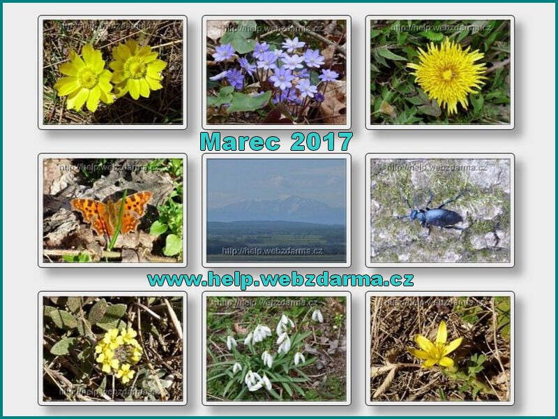 Marec 2017