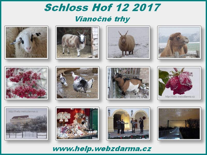 SchlossHof 2017