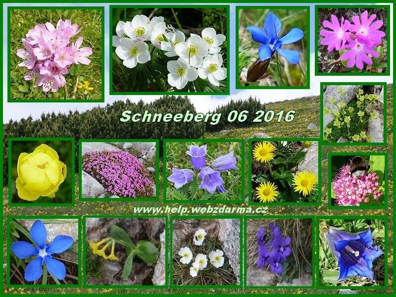 Schneeberg 2 2016