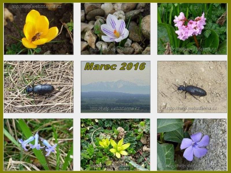 marec 2016