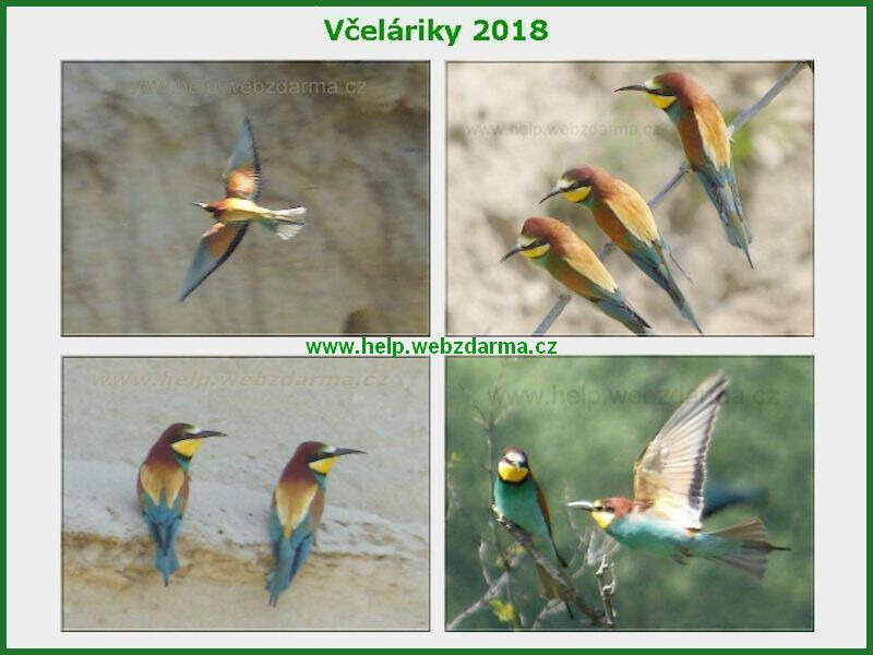vcelariky