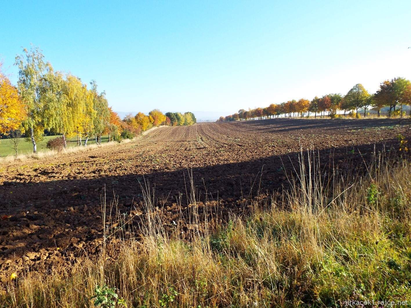cesta z Hradiska do Přestavlk 07 - pole mezi alejemi