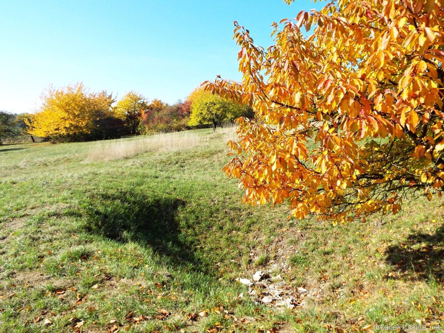Krčmaň - přírodní památka U bílých hlín