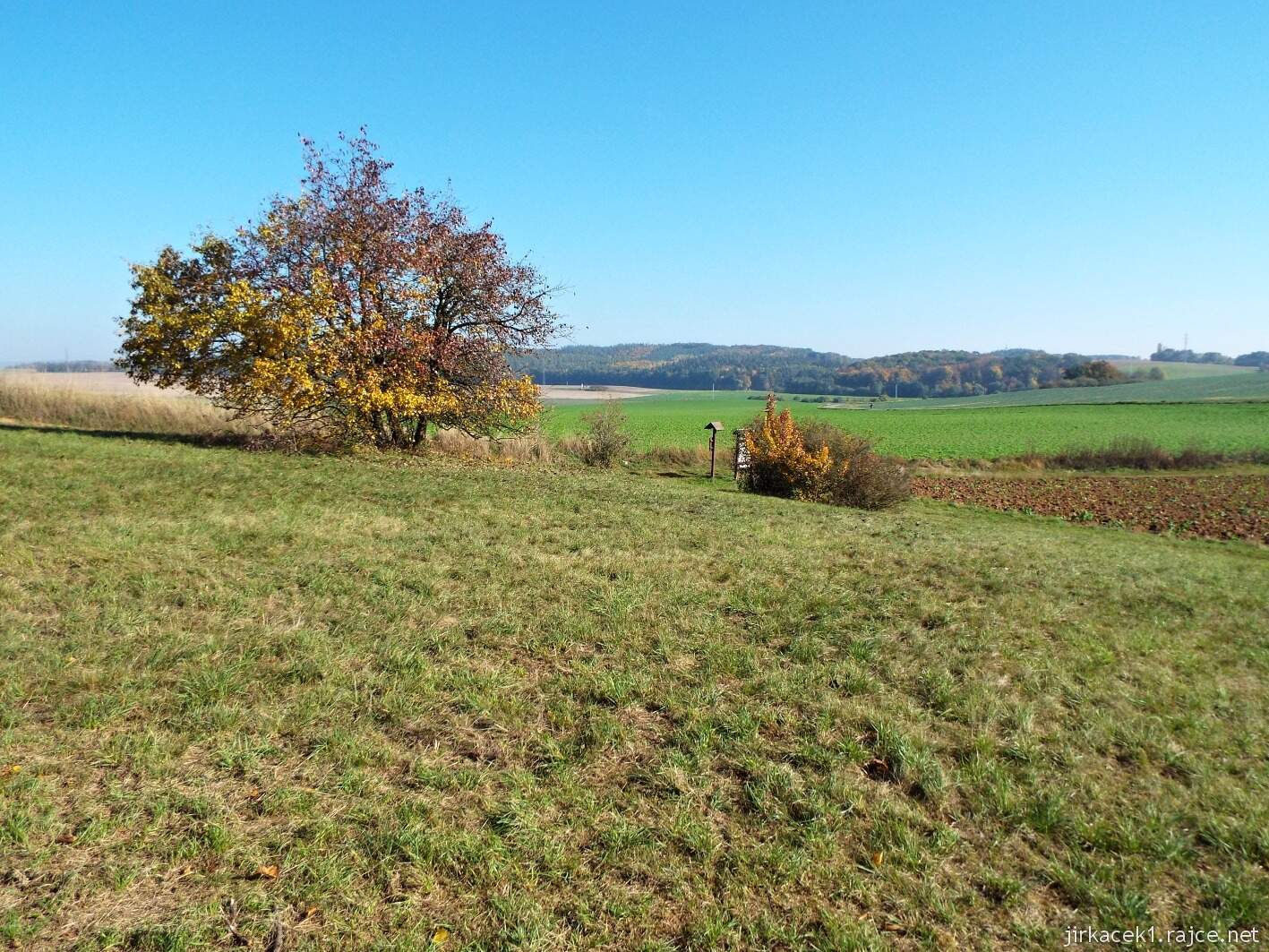 Krčmaň - přírodní památka U bílých hlín