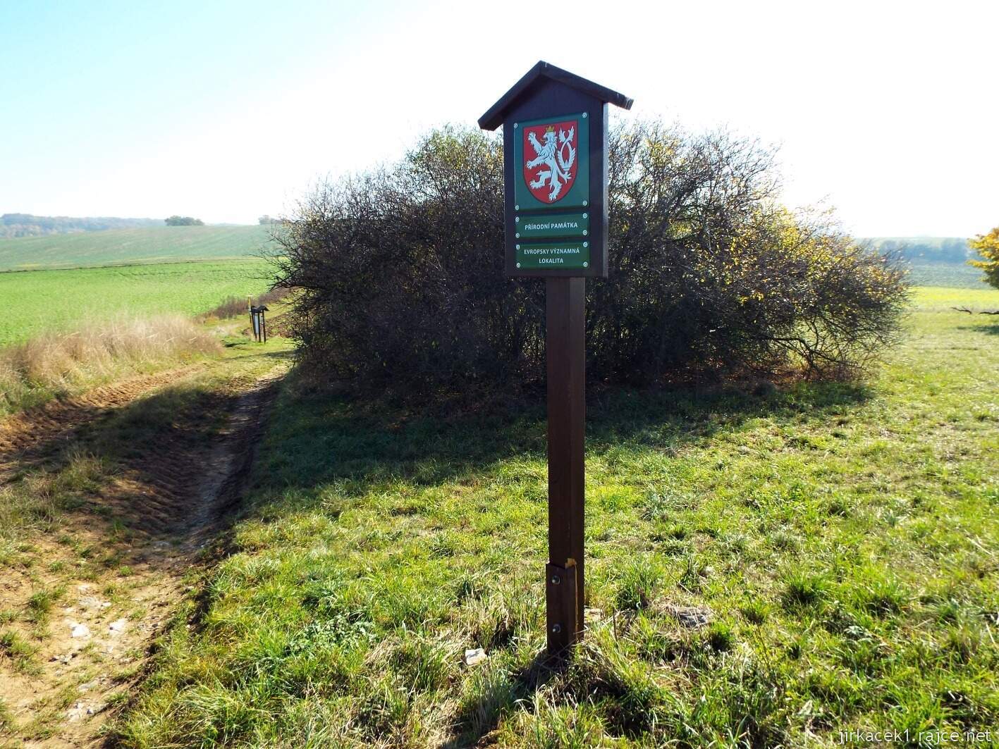 Krčmaň - přírodní památka U bílých hlín