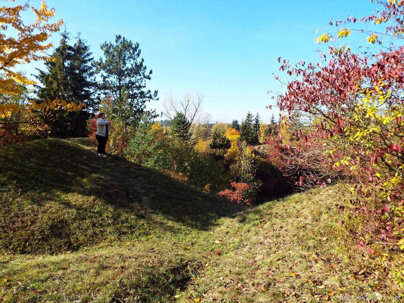 Krčmaň - přírodní památka Cigánské zmoly