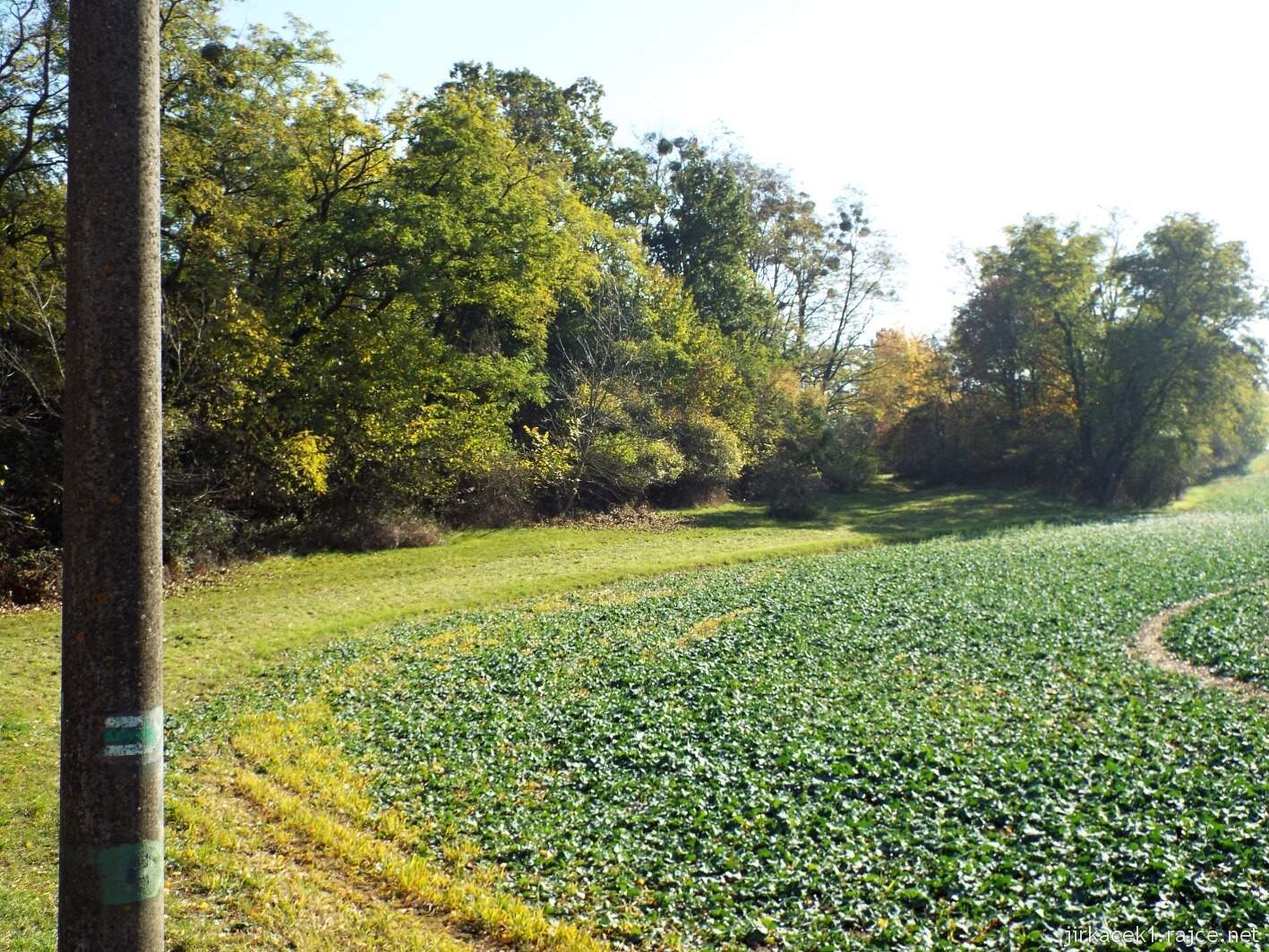 cesta od Cikánských zmol do Grygova