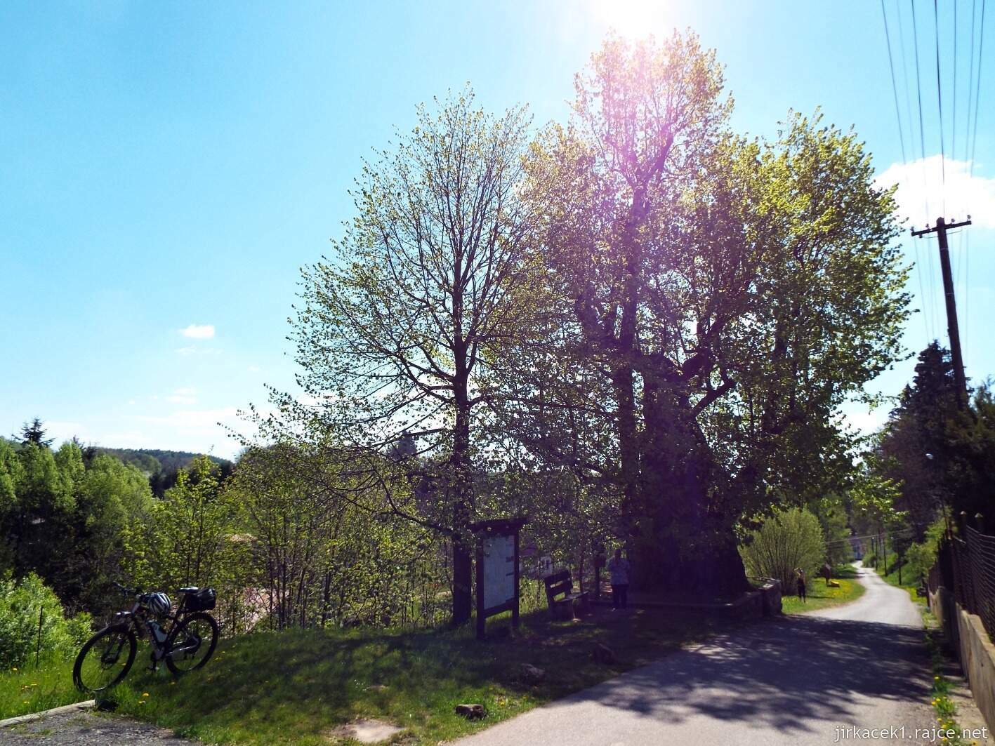 01 - Tatobity - lípa 03
