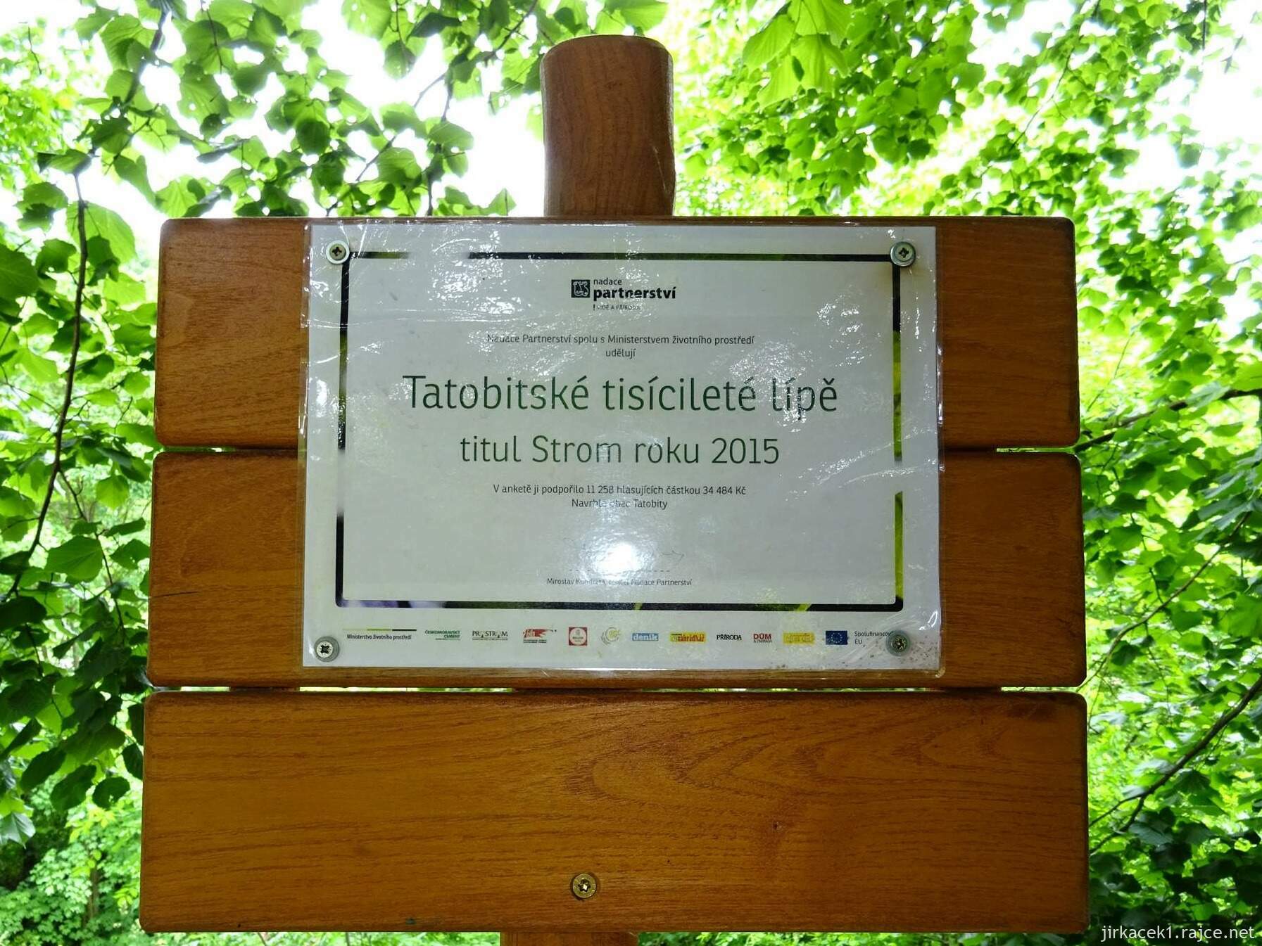 01 - Tatobity - lípa 11