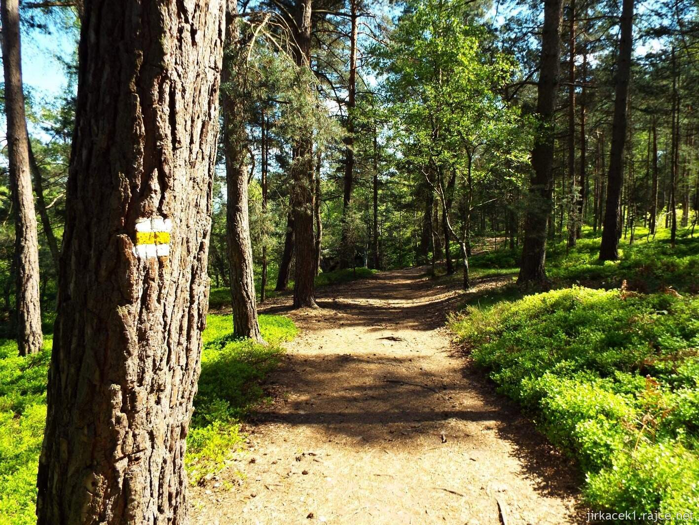 04 - Klokočské průchody 41 - po žluté na hrad Rotštejn